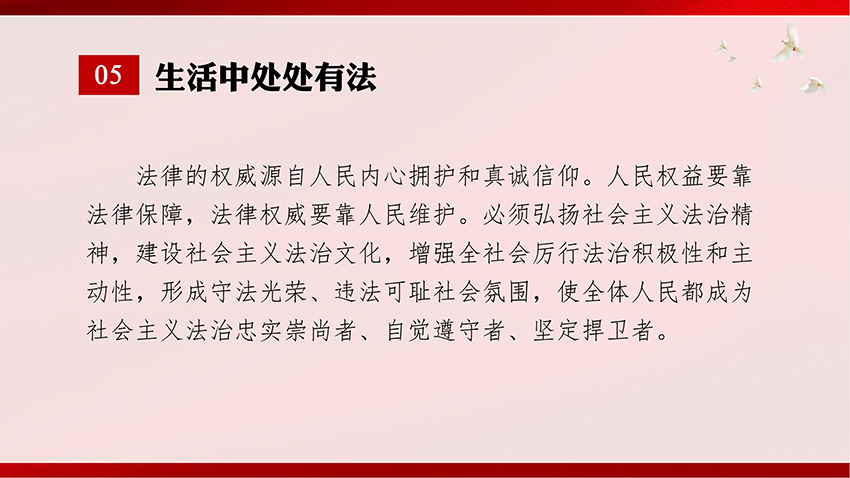 1701400467764945.jpg 宪法宣传-PPT课件_09.jpg